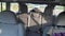2022 Jeep Wrangler Unlimited Sport Altitude
