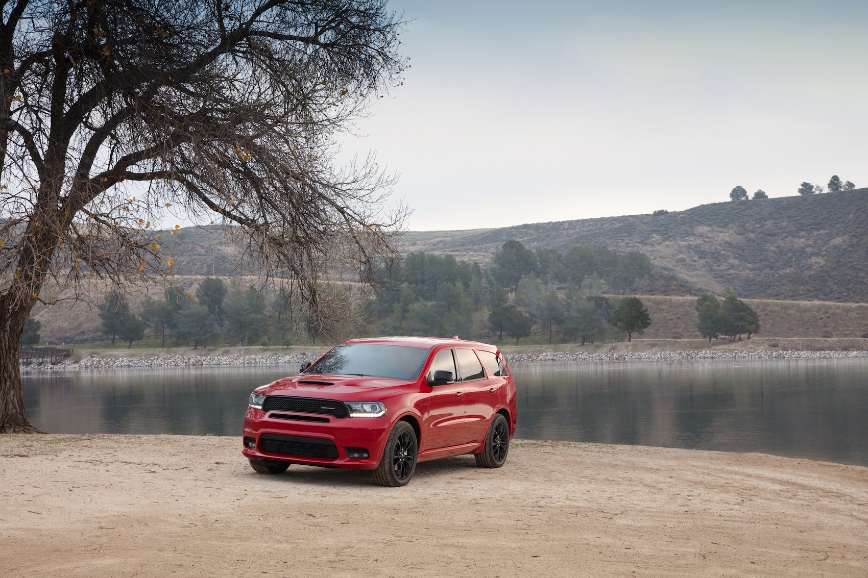 A Huge Variety of Vehicles at Our Dodge Dealer near Martinsville